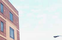 Building Graphic
